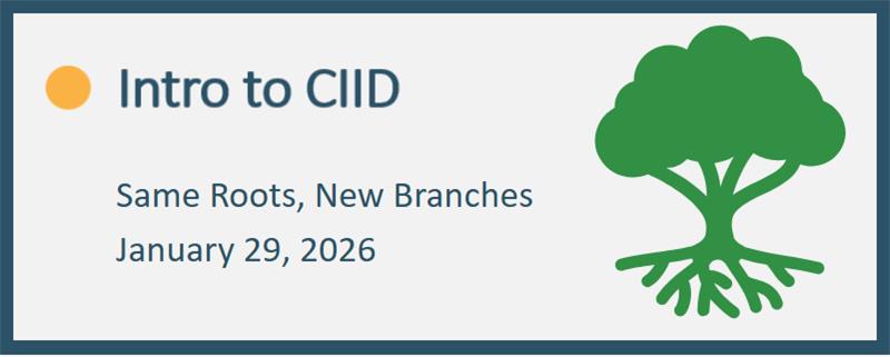 CIID Summit 2026